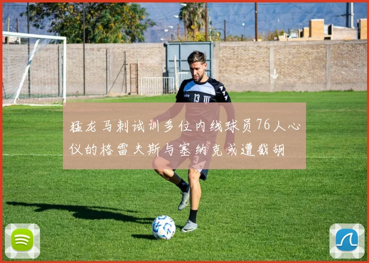 猛龙马刺试训多位内线球员76人心仪的格雷夫斯与塞纳克或遭截胡